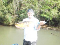 /album/galeria-de-fotos-pagina-inicial/imagem-050-1-jpg/